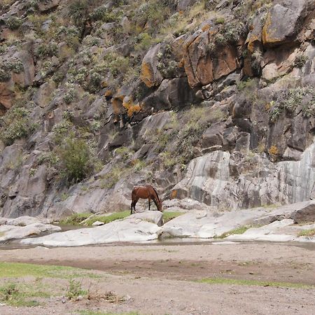 Altos del Valle San Agustín de Valle Fértil Esterno foto